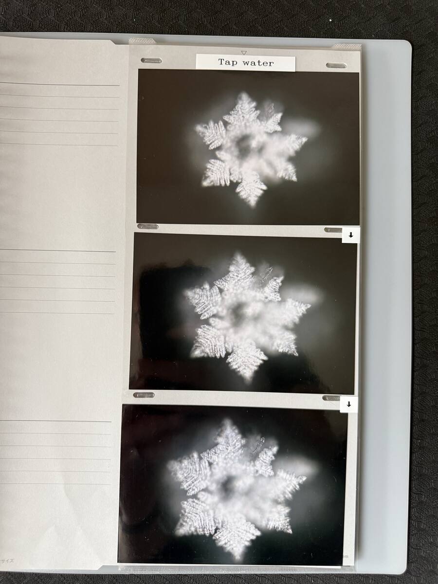 Tap water · album page 1