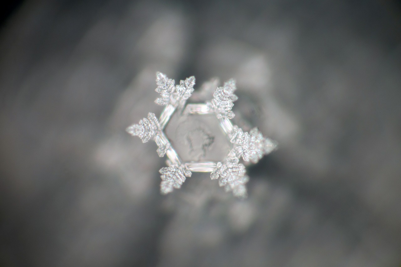 Control crystal photograph 1 of 30