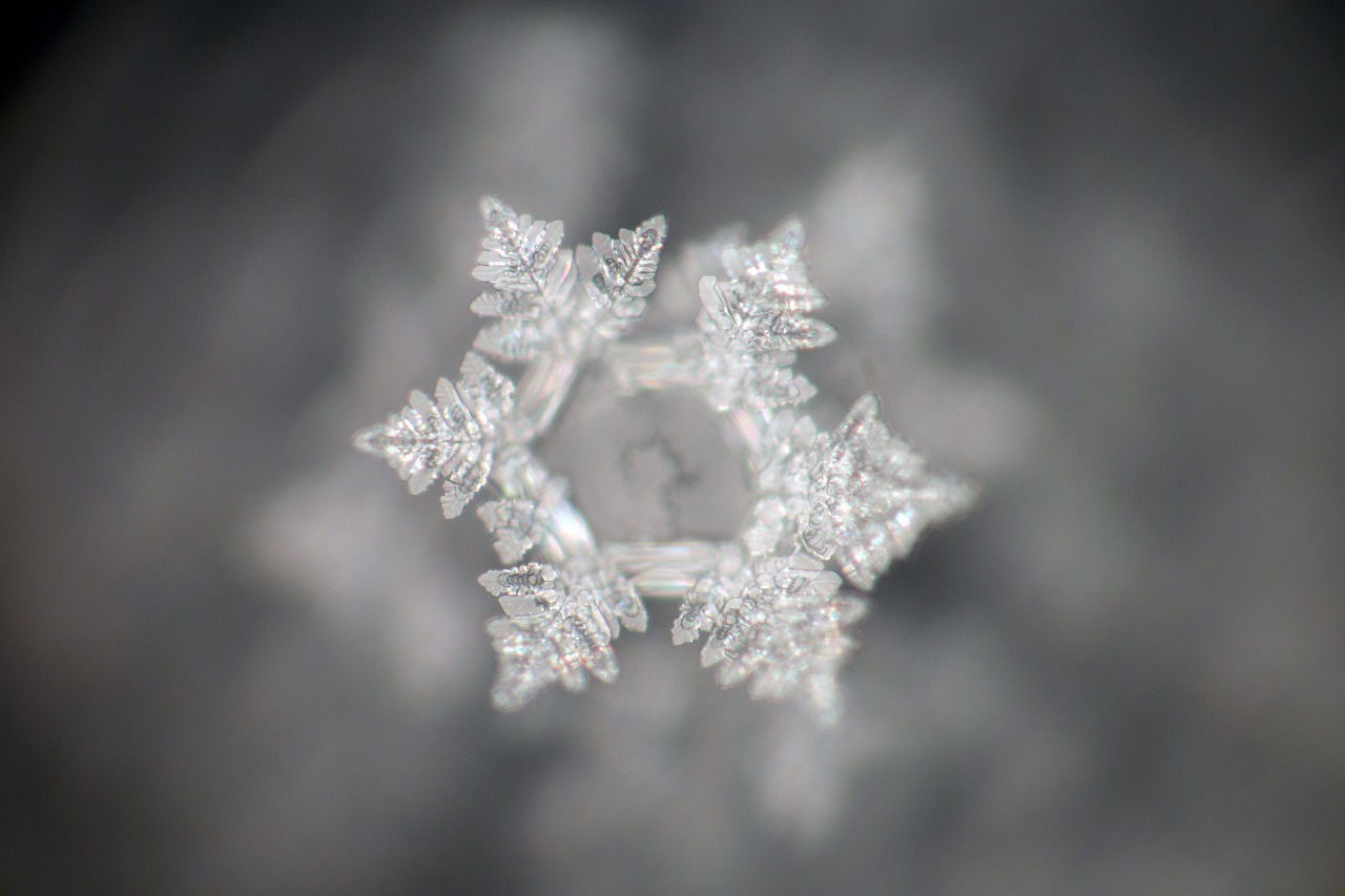 Control crystal photograph 3 of 30
