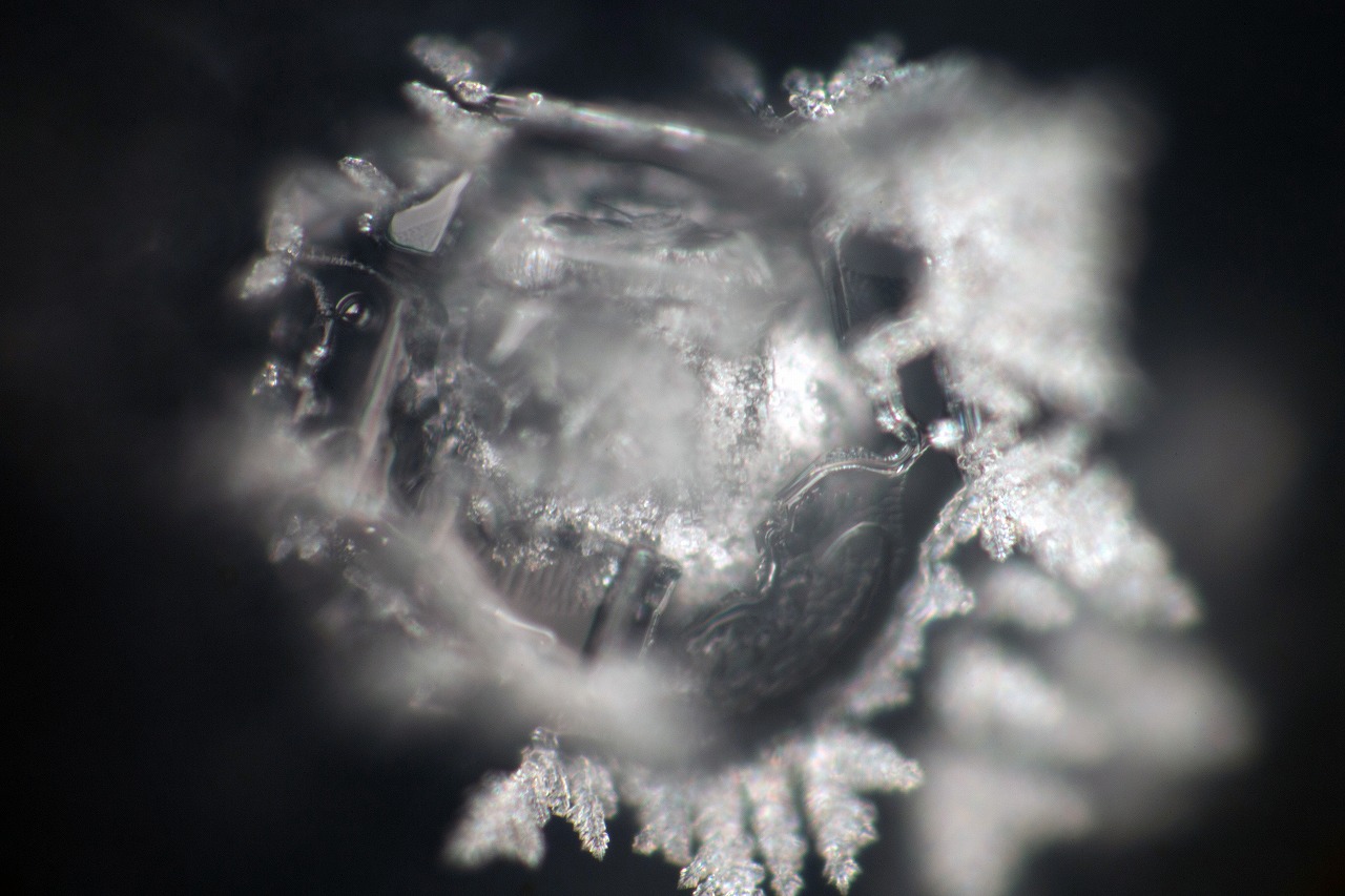 Control crystal photograph 6 of 30