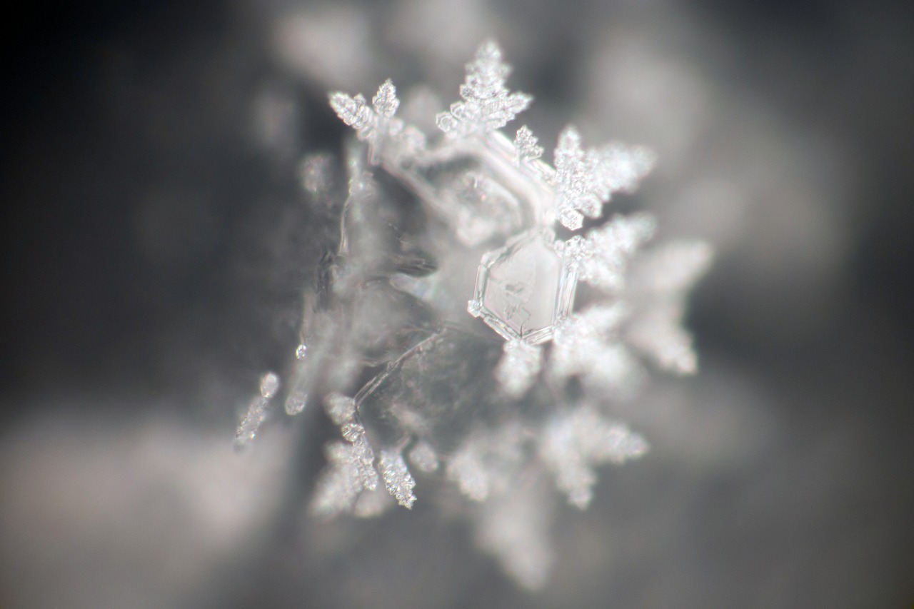 Control crystal photograph 7 of 30