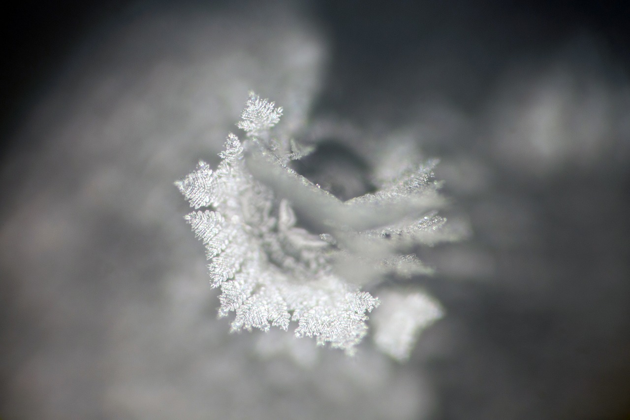 Control crystal photograph 8 of 30