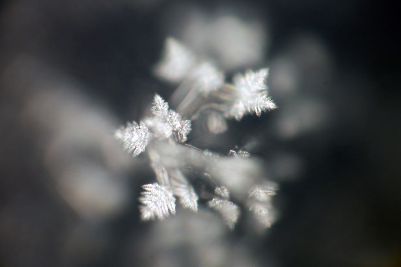 Control crystal photograph 9 of 30
