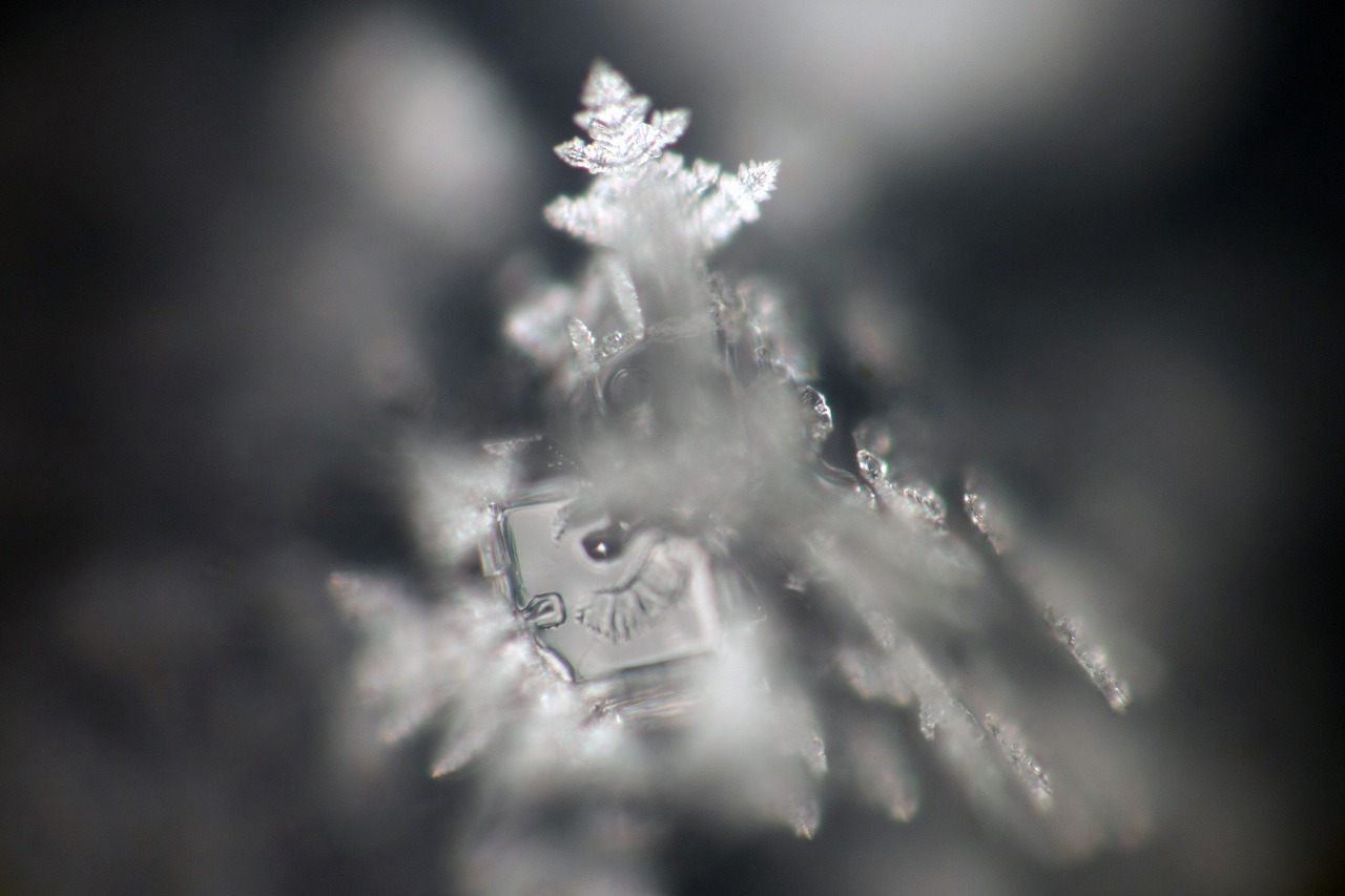 Control crystal photograph 11 of 30