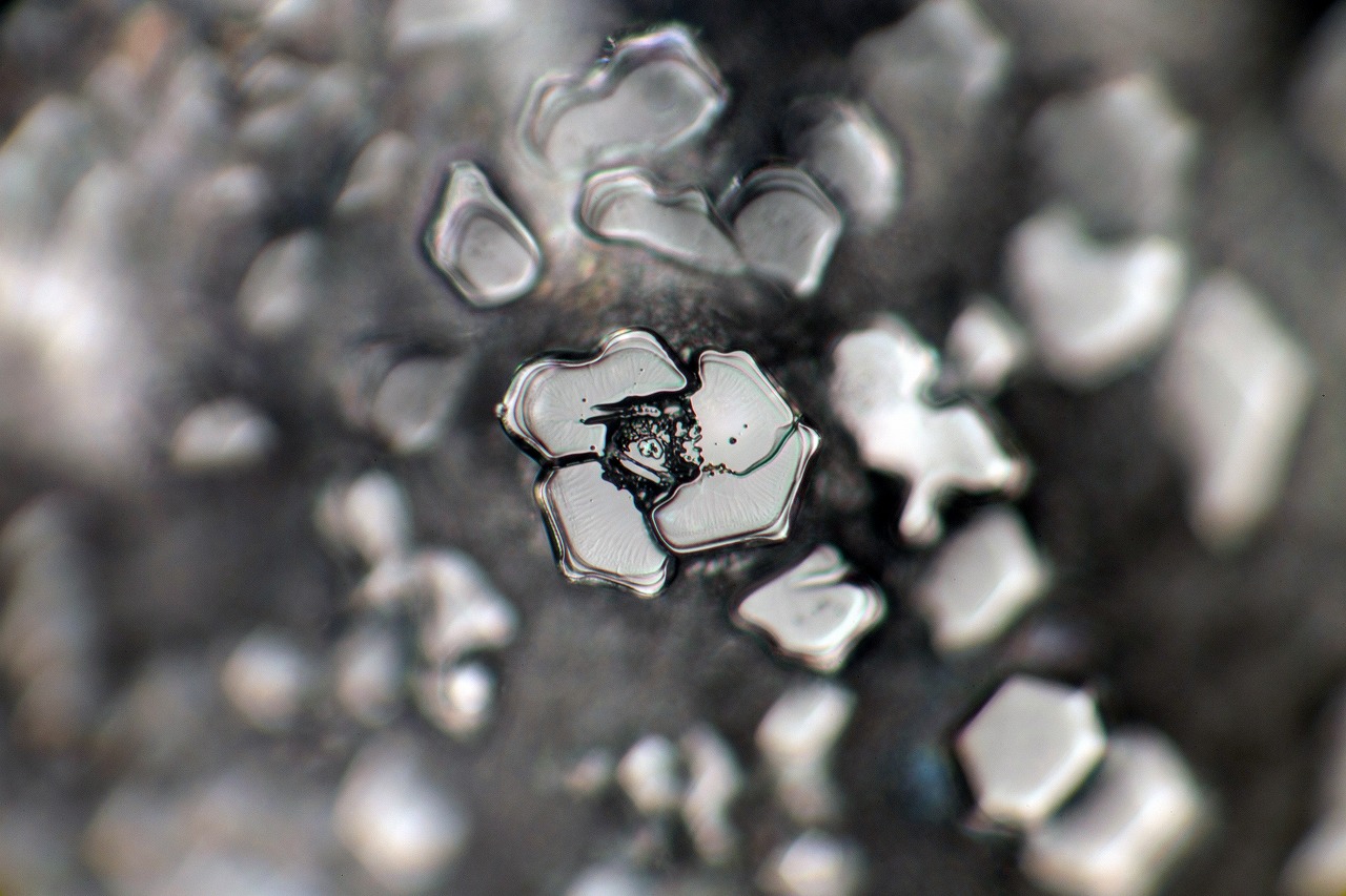 Control crystal photograph 19 of 30