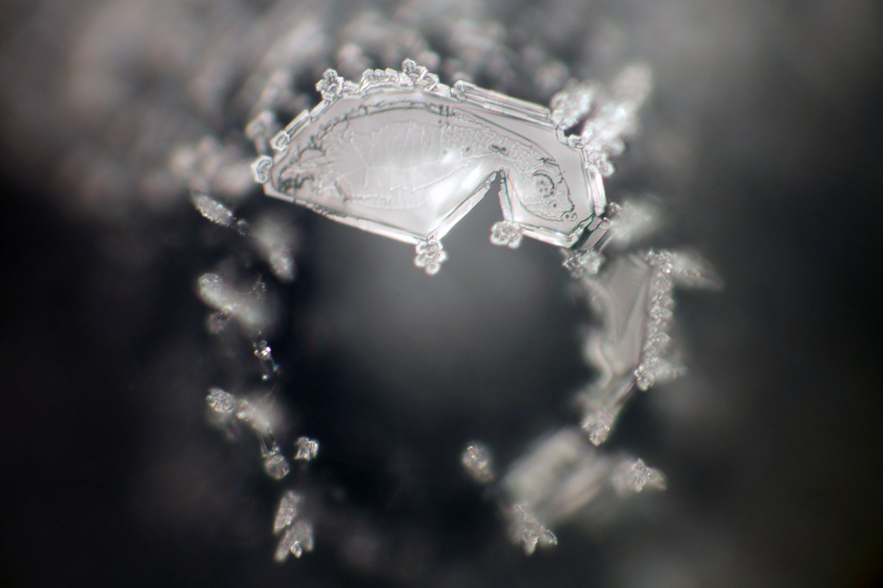 Control crystal photograph 22 of 30