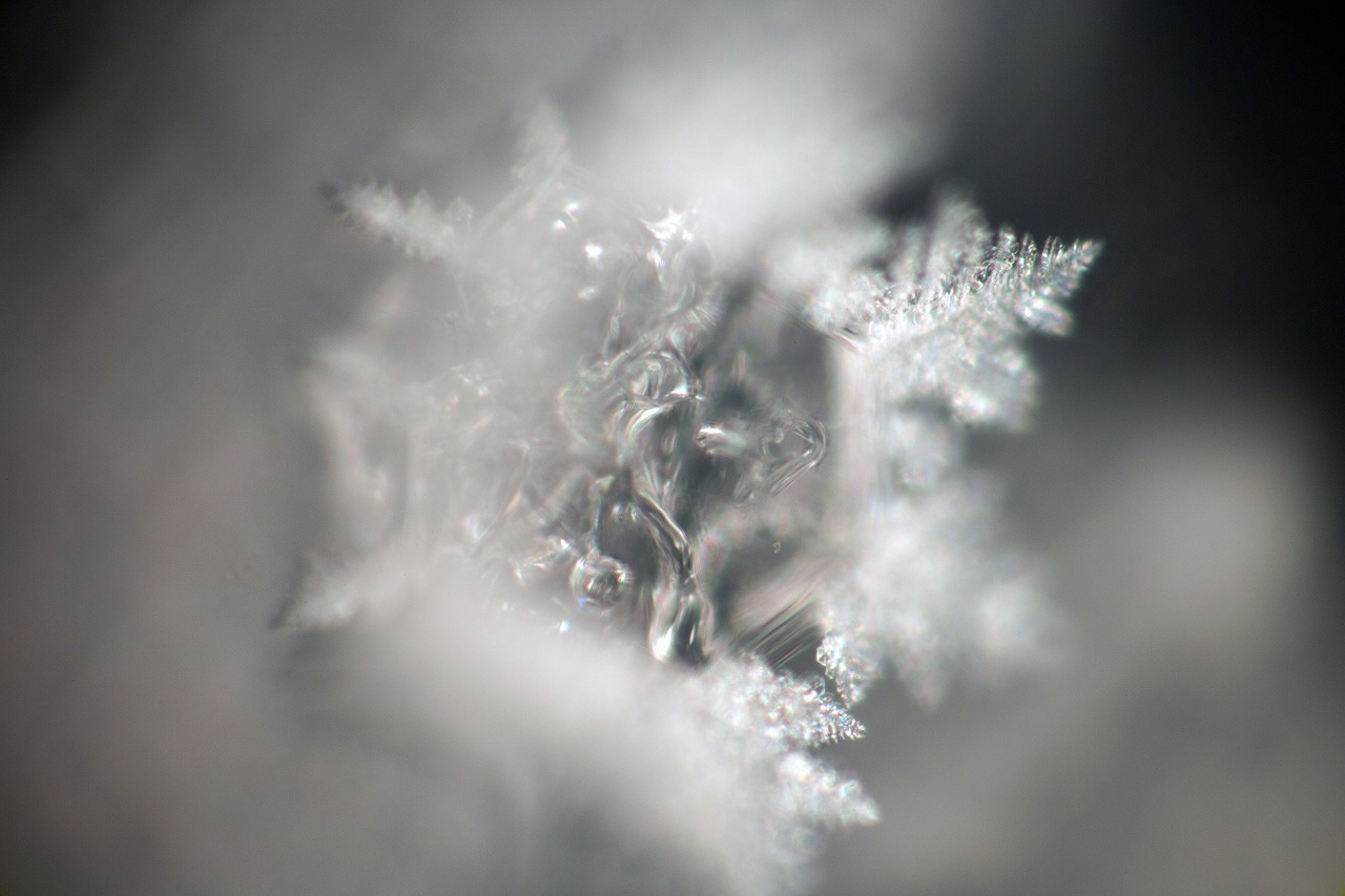 Control crystal photograph 25 of 30