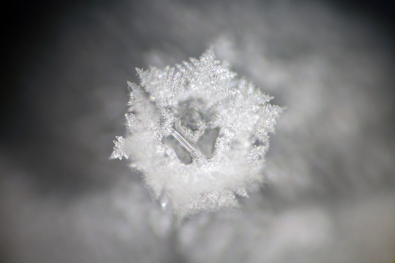 50 mW laser crystal photograph 28 of 29
